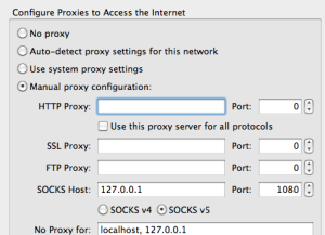 configuring SOCKS proxy in Firefox