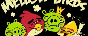 Mellow Birds mellow birds