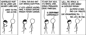 Heartbleed heartbleed