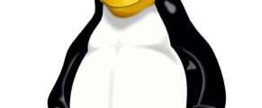 Sorting Disk Usage By Size On Linux Tux - the linux logo