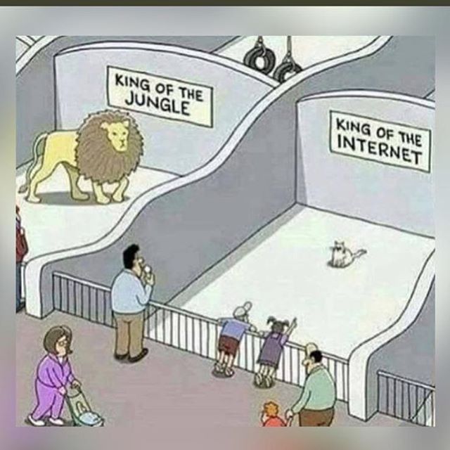 king of the jungle - king of the internet