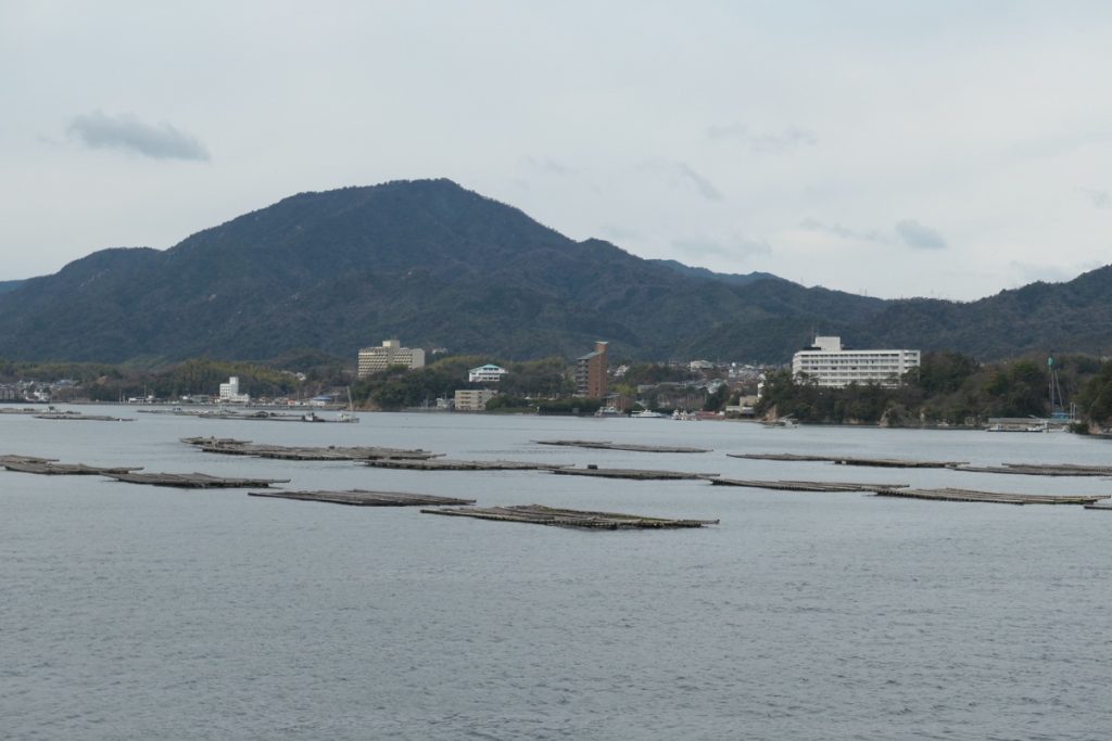 Oyster beds in the bay of Hiroshima, Japan