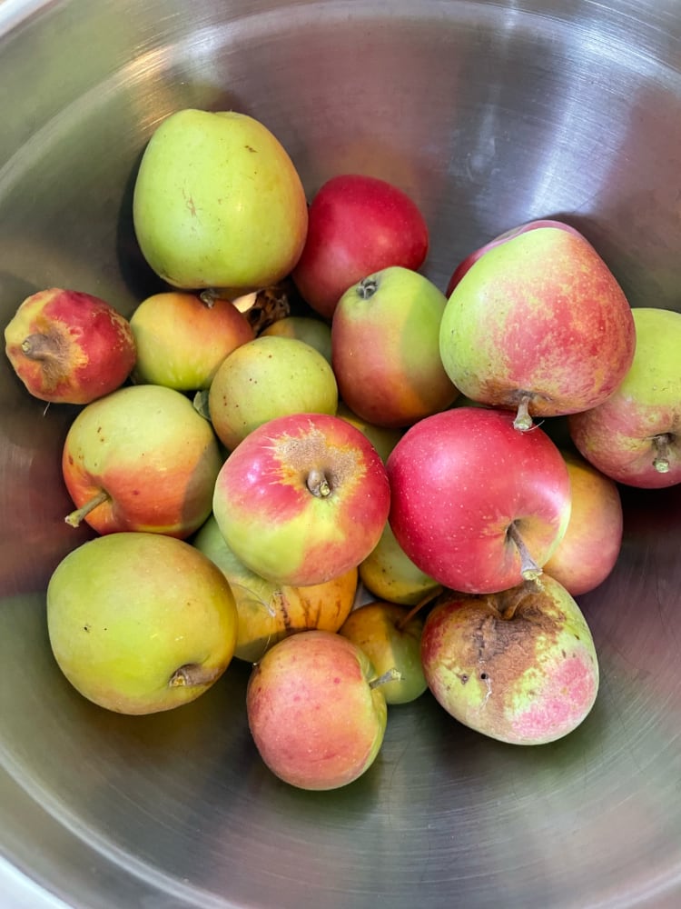 apples from my garden